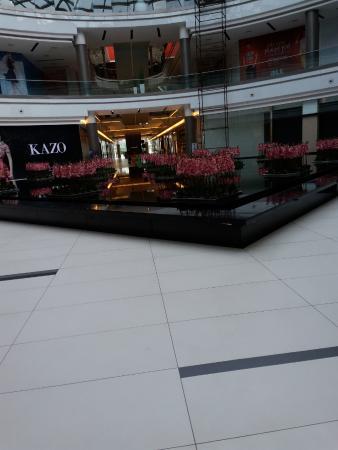 Nitesh HUB